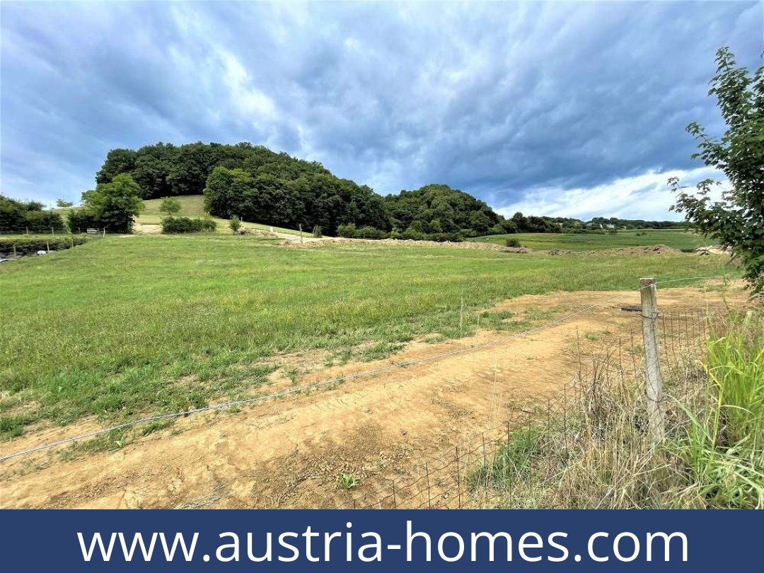 austria-homes-bad gleichenberg-8344-20251011211936-0036501024.jpg